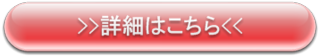 レッド詳細.png